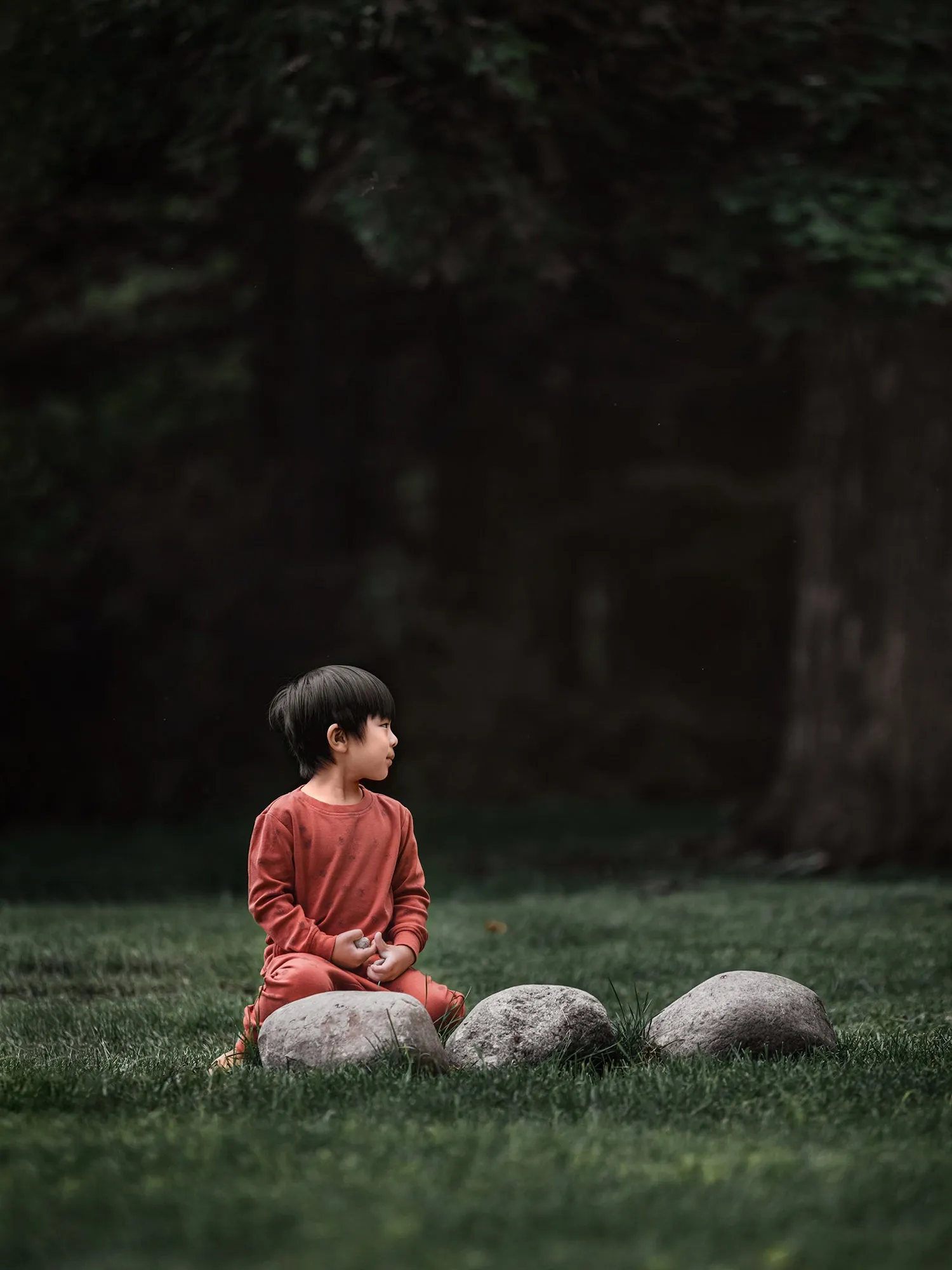 Kids' Printed Sweatshirt & Jogger Set in Cinnamon Pinecone