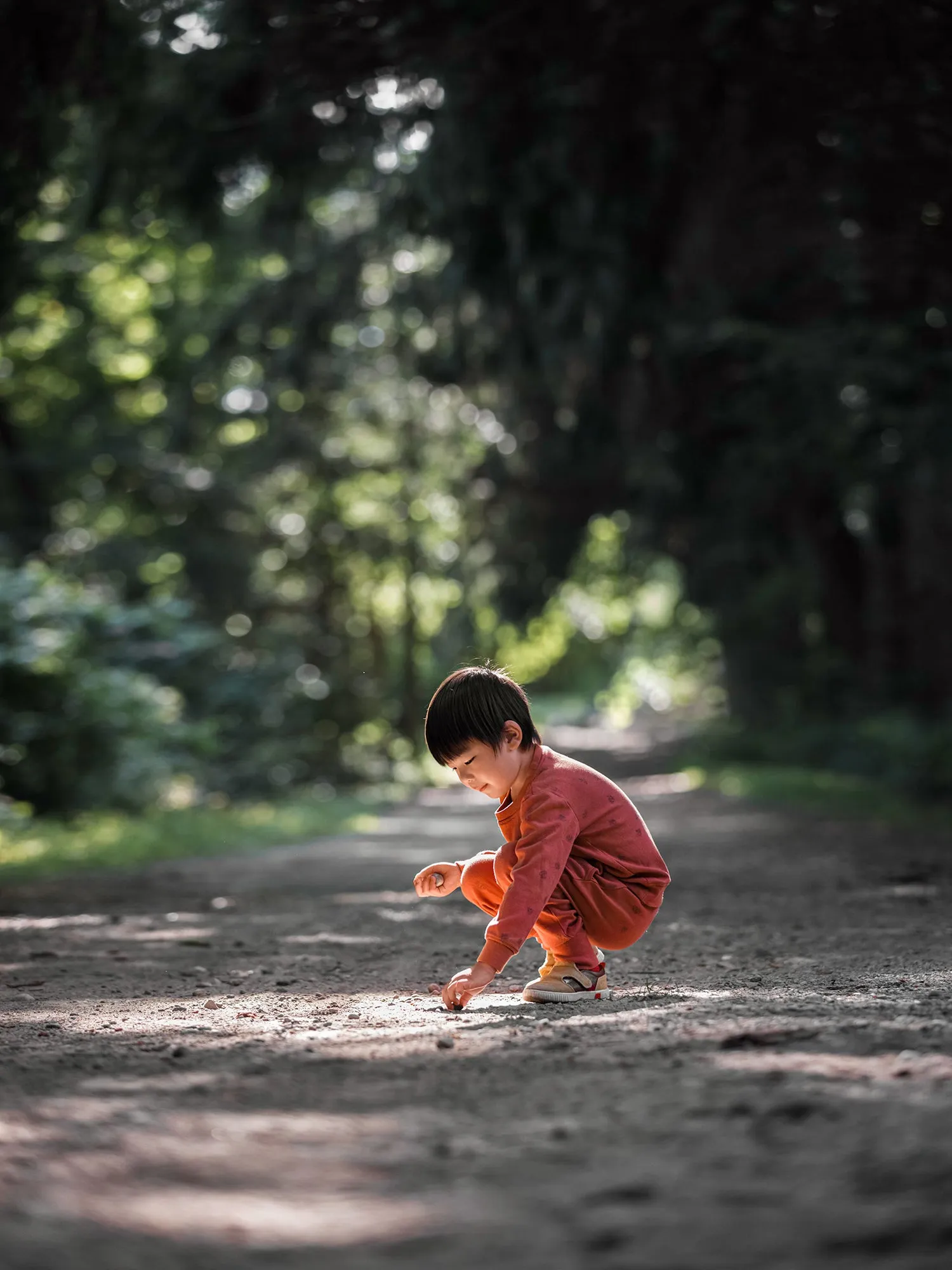 Kids' Printed Sweatshirt & Jogger Set in Cinnamon Pinecone